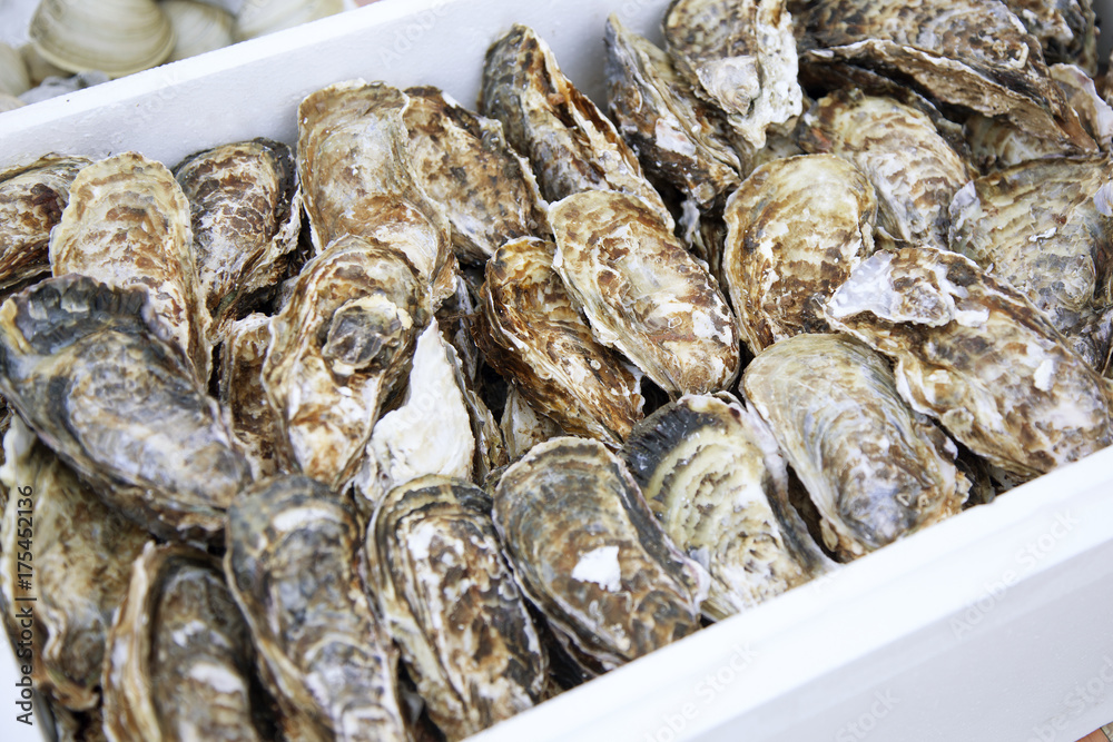 新鮮な牡蠣